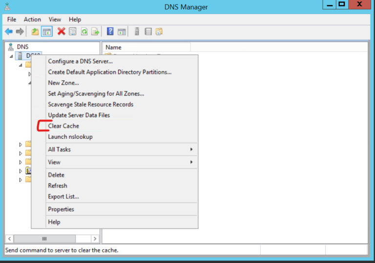 Dns Cache Issues