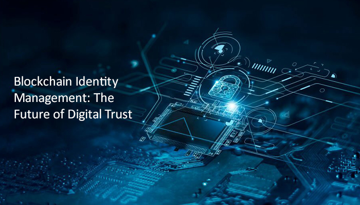 Blockchain Identity Management_ The Future of Digital Trust